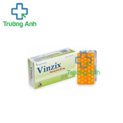 Vinzix 40mg Vinphaco (viên) - Thuốc điều trị phù nề